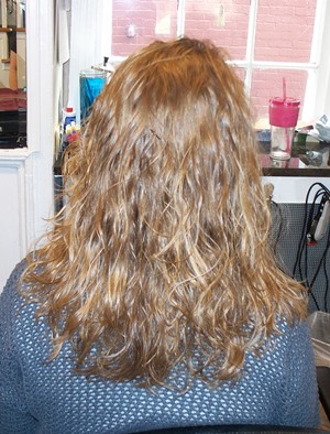 Brown Hair Color With Caramel Highlights. Andrea loved her new color!
